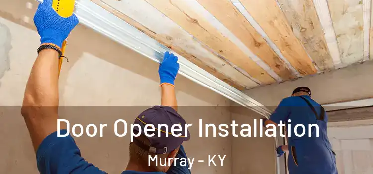  Door Opener Installation Murray - KY
