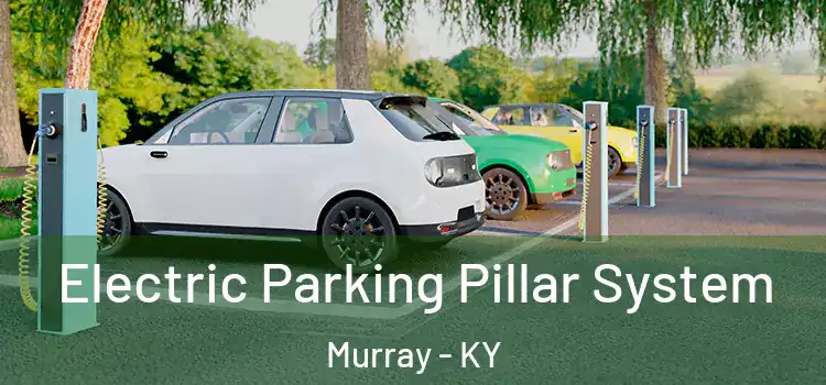 Electric Parking Pillar System Murray - KY